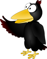 raven